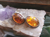 Natural Baltic Amber Sterling Silver Scarab Earrings