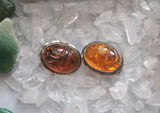 Natural Baltic Amber Sterling Silver Scarab Earrings