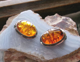 Natural Baltic Amber Sterling Silver Scarab Earrings