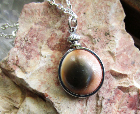 Natural Operculum Seashell Pendant Necklace