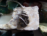 Fossil Shell Natural Agate Wire Wrapped Stone Pendant