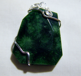 Green Fossil Coral Wire Wrapped Pendant