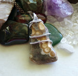 Ocean Jasper Natural Stone Wire Wrapped Pendant Necklace